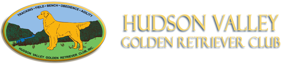 Golden Retriever Foundation